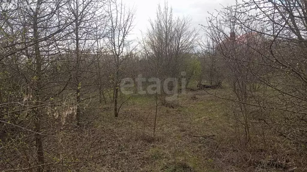 Участок в село Семилуки, Светлая улица (10 м) - Фото 1