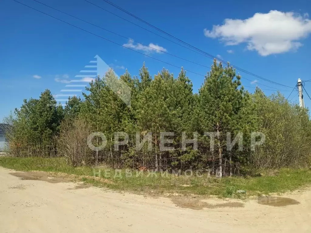 Участок в Свердловская область, Екатеринбург Аэродром ДНП, ул. ... - Фото 1