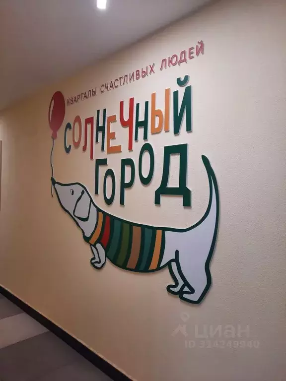 Студия Санкт-Петербург просп. Буденного, 23к1 (24.3 м) - Фото 1
