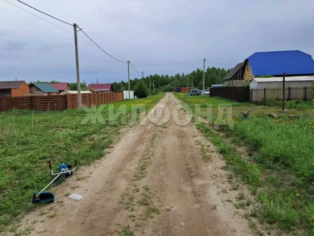 Участок в Новосибирская область, Коченевский район, Тальник СНТ  (10.5 ... - Фото 1