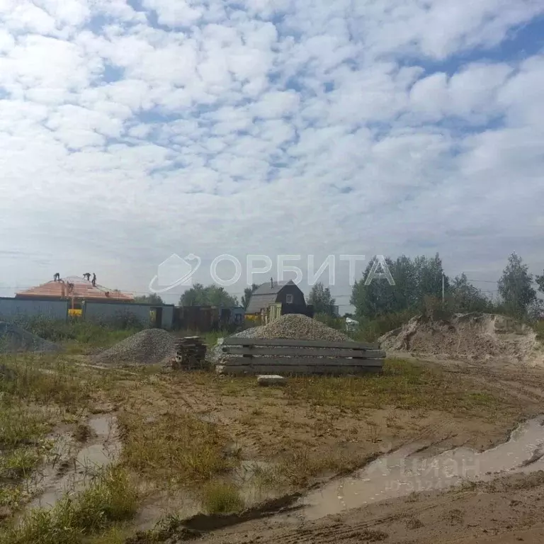 Участок в Тюменская область, Тюмень Царево садовое товарищество, ул. ... - Фото 0