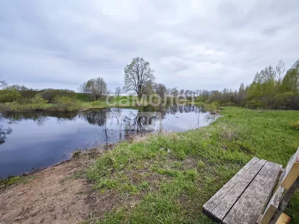 Участок в Новгородская область, Новгородский район, Борковское с/пос, ... - Фото 1