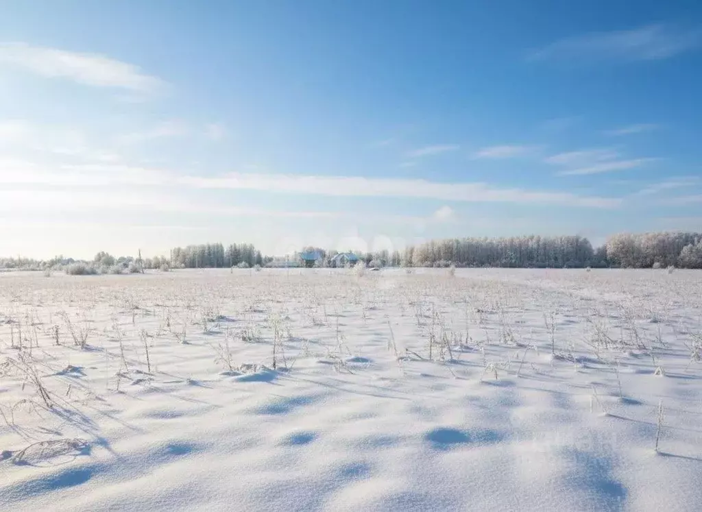 Участок в Московская область, Коломна городской округ, д. Шапкино  ... - Фото 1
