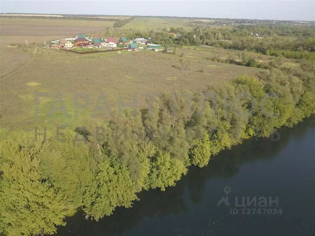 Участок в Липецкая область, Данковский район, Новоникольский ... - Фото 0