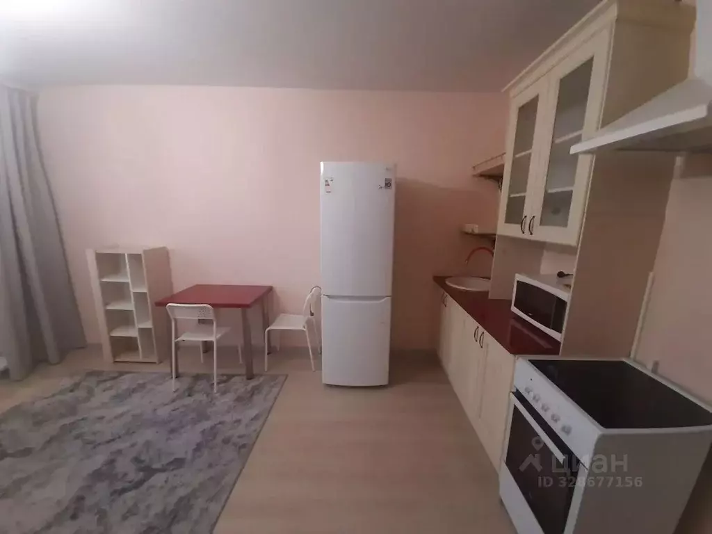 Студия Санкт-Петербург просп. Героев, 18 (23.4 м) - Фото 2