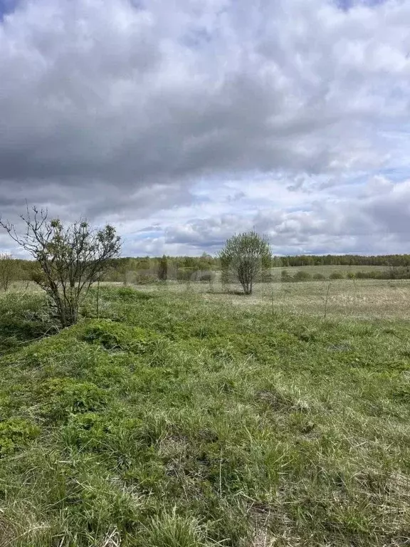 Участок в Калужская область, Спас-Деменский район, Чипляево с/пос, д. ... - Фото 2