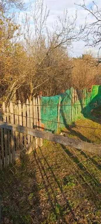 Участок в Воронежская область, Воронеж Память Мичурина СНТ, ул. ... - Фото 0