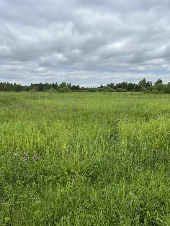 Участок в Московская область, Серпухов городской округ, д. Верхние ... - Фото 1