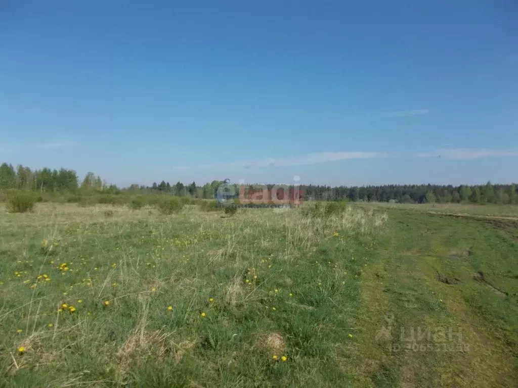 Участок в Татарстан, Тукаевский район, д. Малая Шильна  (6.49 сот.) - Фото 0