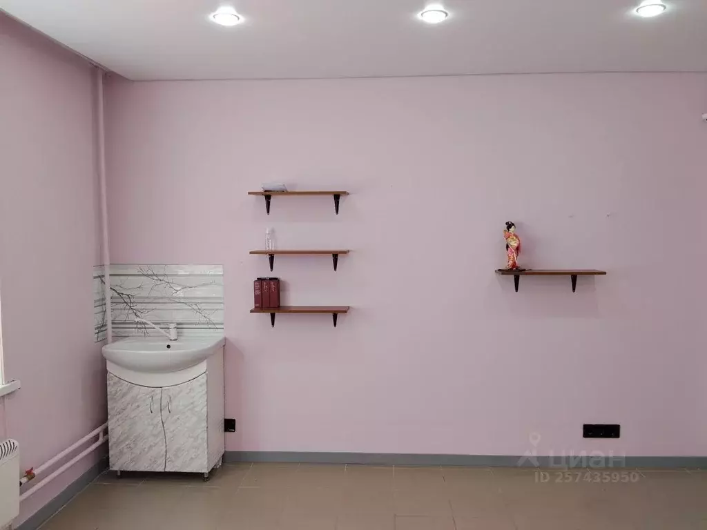 Помещение свободного назначения в Челябинская область, Челябинск ул. ... - Фото 2