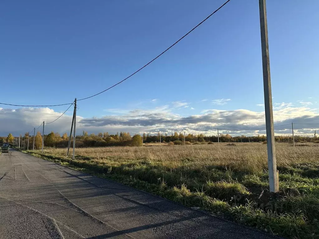 Участок в Ленинградская область, Всеволожский район, Романовское ... - Фото 1