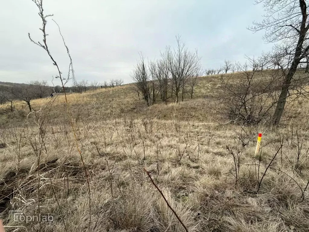Участок в Волгоградская область, Городищенский район, Царицынское ... - Фото 1