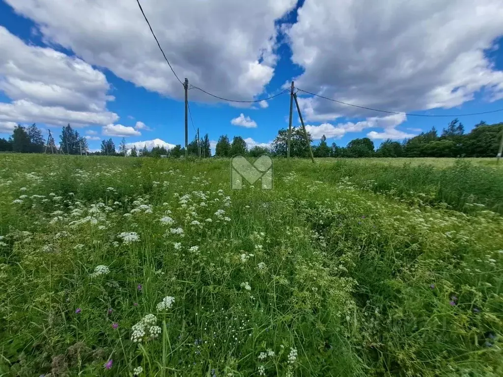 Участок в Ленинградская область, Приозерский район, Запорожское с/пос, ... - Фото 1