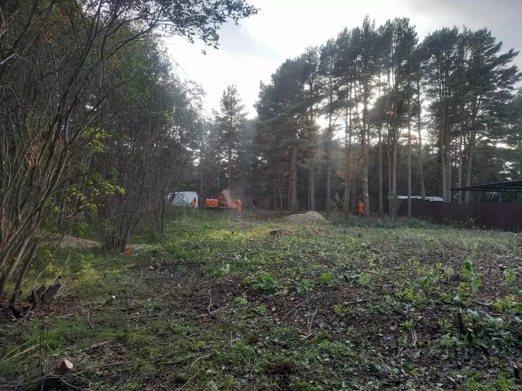 Участок в Ленинградская область, Волховский район, Потанинское с/пос, ... - Фото 2