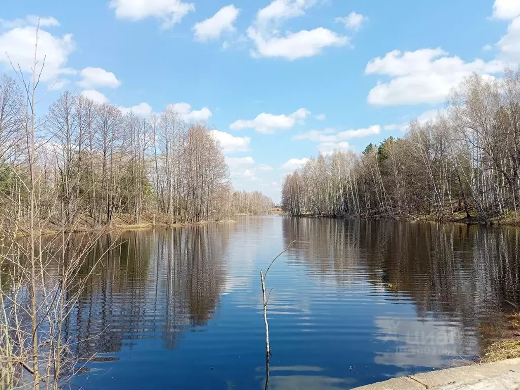 Участок в Нижегородская область, Лысковский район, с. Нижний Красный ... - Фото 0