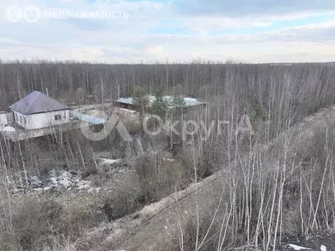 Участок в Богородский городской округ, СНТ Ясень, 117 (6 м) - Фото 2