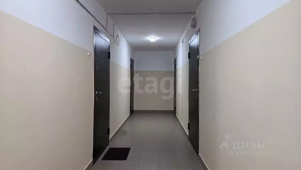 1-к кв. Амурская область, Благовещенский район, с. Чигири ул. ... - Фото 1