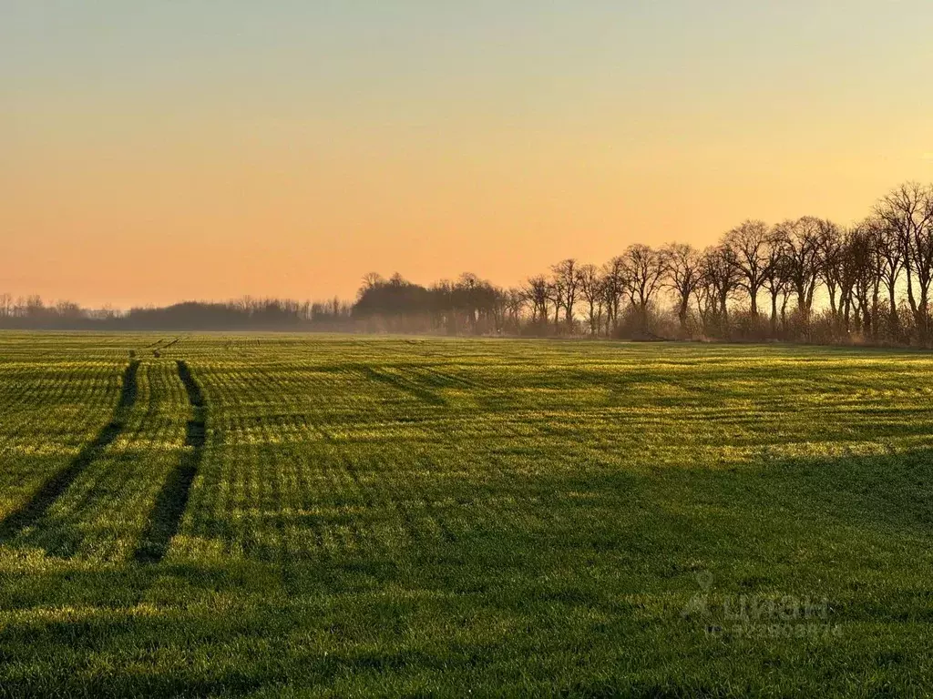 Участок в Калининградская область, Гурьевский муниципальный округ, ... - Фото 1