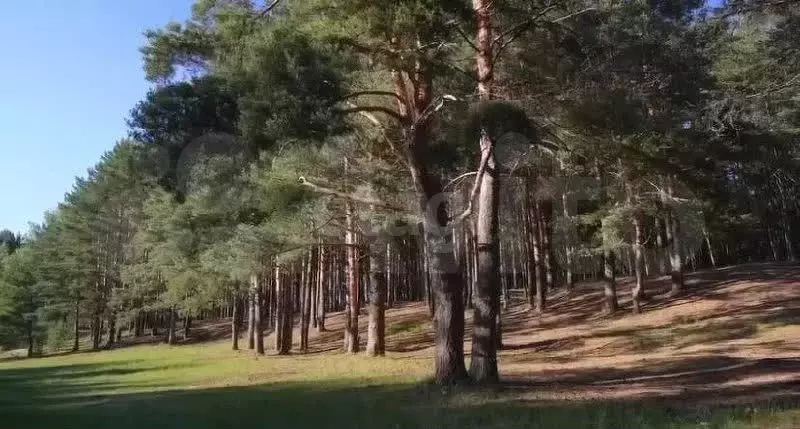 Участок 8 сот. (ИЖС) - Фото 0