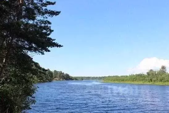 Участок в Ленинградская область, Лодейнопольский район, Алеховщинское ... - Фото 2
