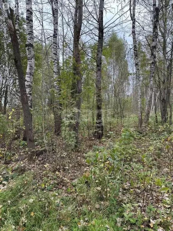 Дом в Талдомский городской округ, деревня Бурцево (104.1 м) - Фото 1