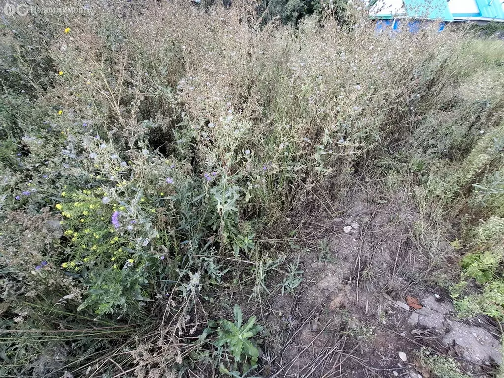 Участок в Туймазы, улица Орджоникидзе (8 м) - Фото 2