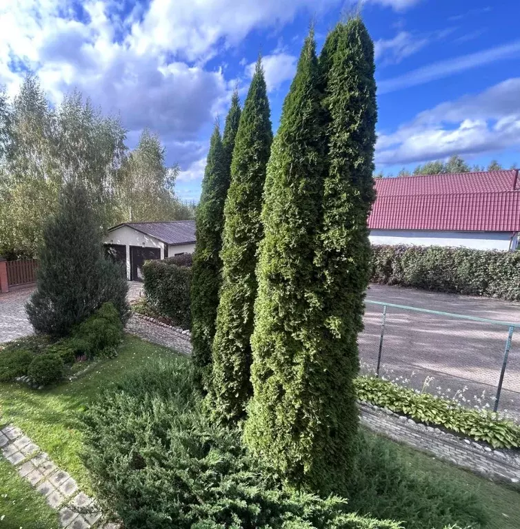 Участок в Московская область, Одинцовский городской округ, с. Луцино ... - Фото 1