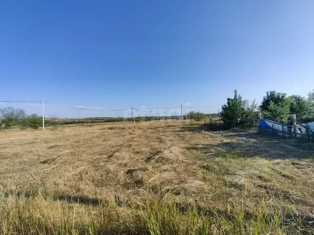 Участок в Ростовская область, Родионово-Несветайский район, ... - Фото 1