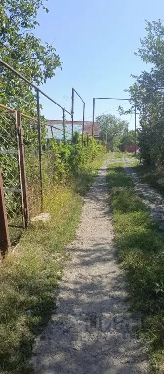 Участок в Ставропольский край, Ставрополь Южное-1 СТ, ул. Ореховая ... - Фото 1