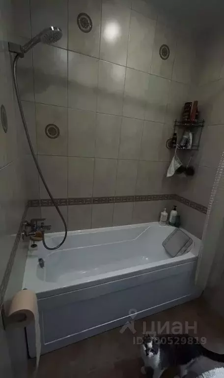 1-к кв. Ярославская область, Ярославский район, Заволжское с/пос, д. ... - Фото 1