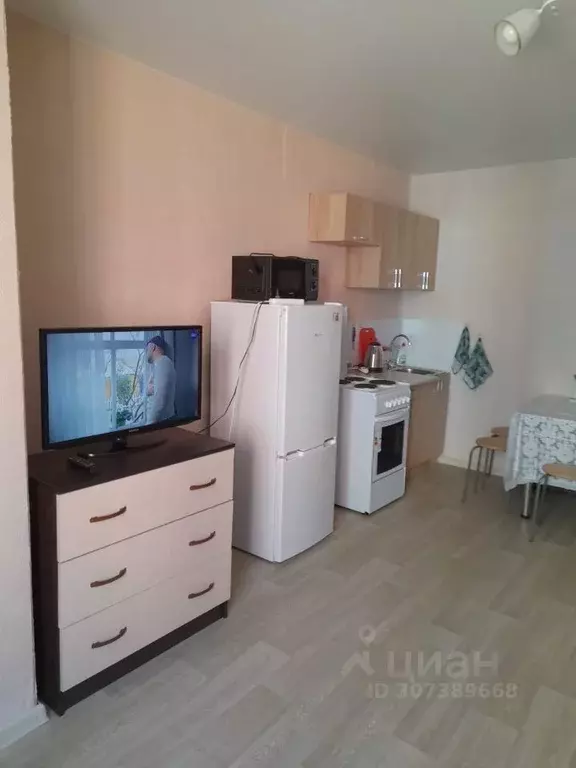 Студия Ленинградская область, Мурино Всеволожский район, ул. Шоссе в ... - Фото 2