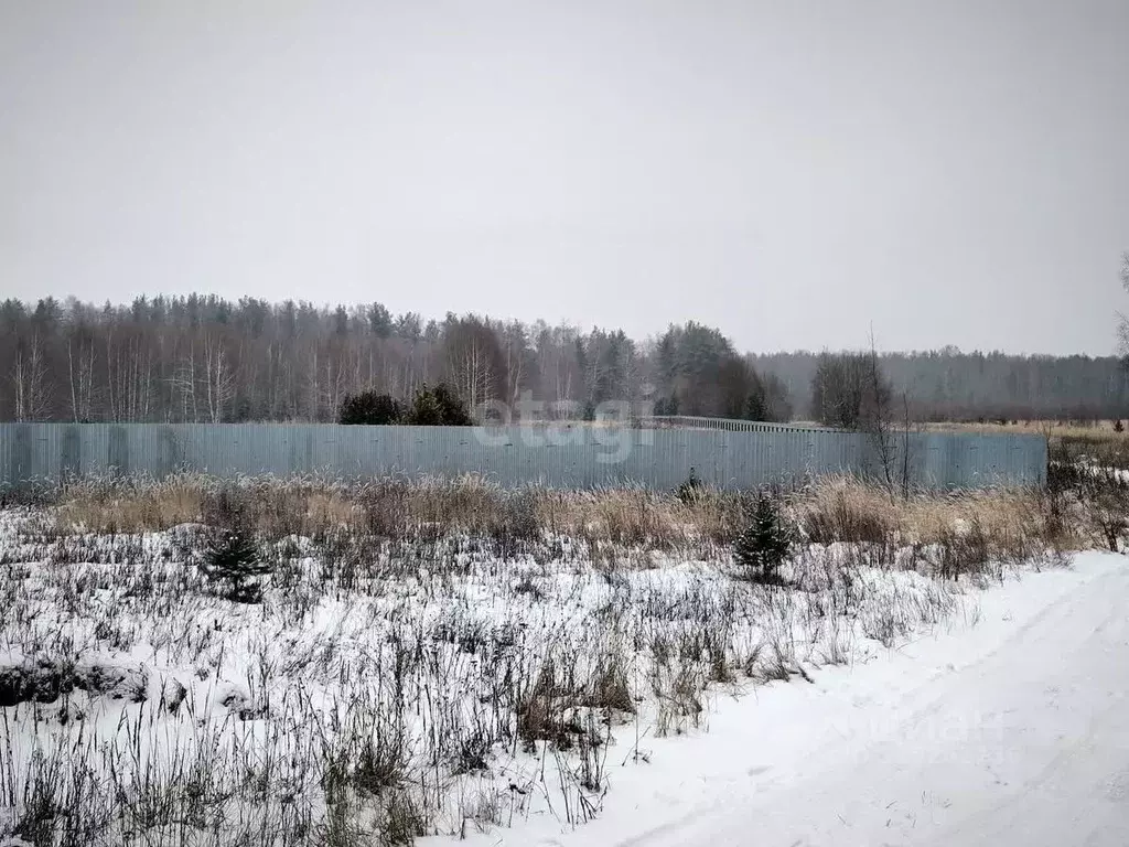 Участок в Владимирская область, Муром д. Михайлово, ул. Центральная ... - Фото 1
