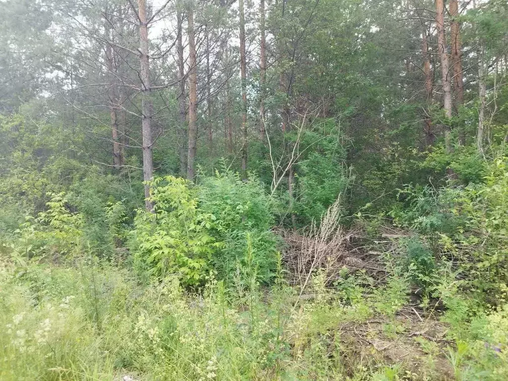 Участок в Свердловская область, Талица  (12.0 сот.) - Фото 1