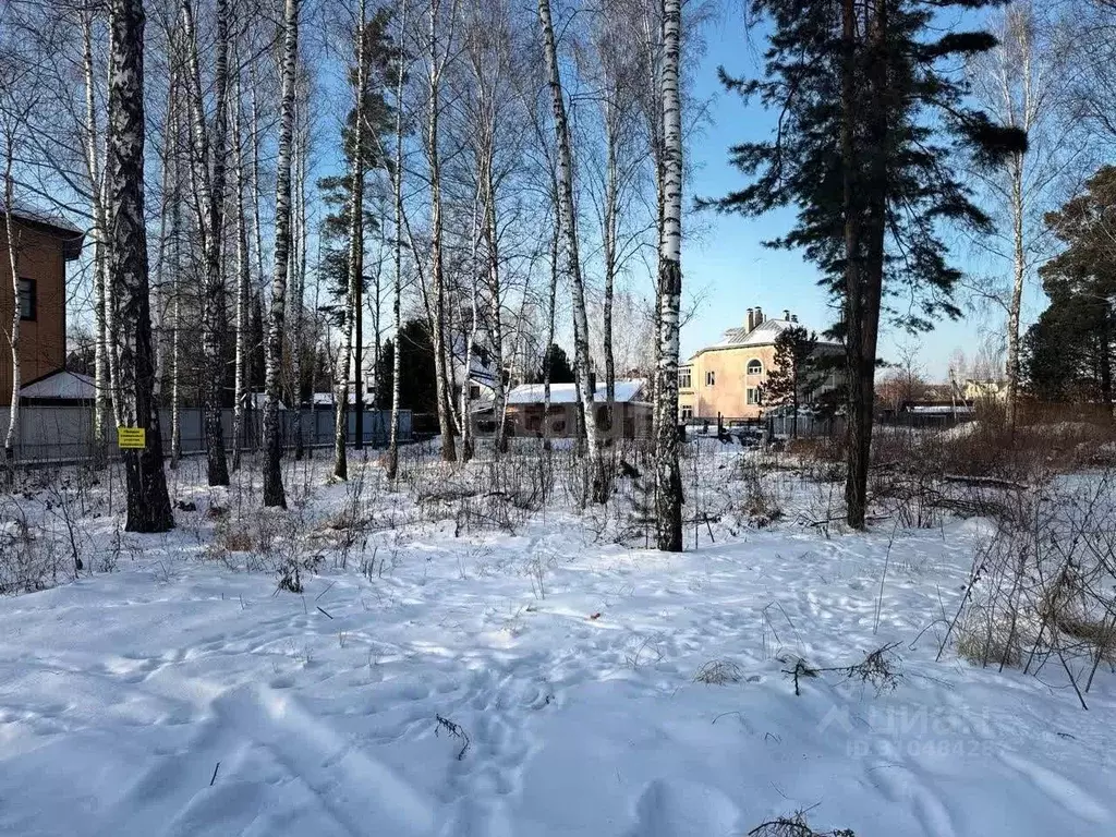 Участок в Новосибирская область, Бердск ул. Голубичная (10.0 сот.) - Фото 0