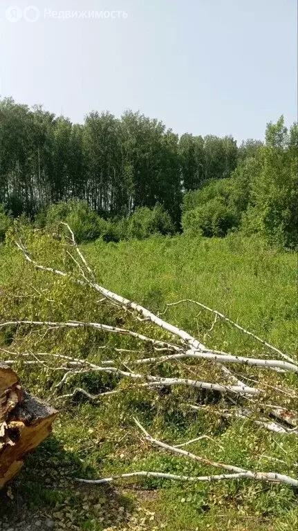 Участок в село Кожевниково, Юбилейная улица (10 м) - Фото 1