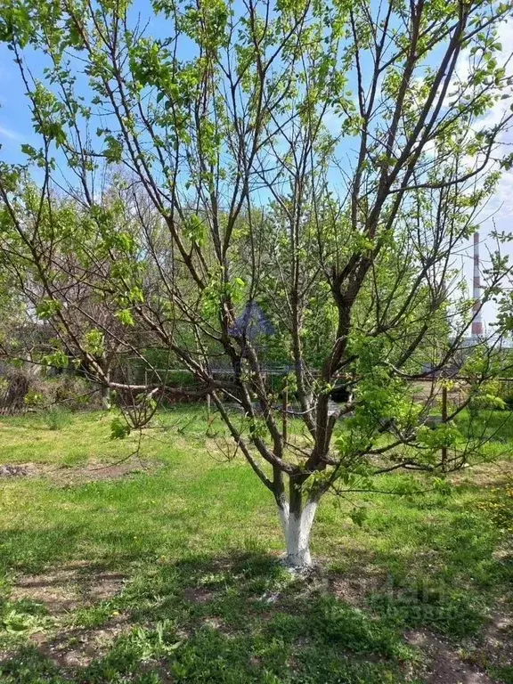 Дом в Ростовская область, Волгодонск Добровольская ул. (24 м) - Фото 2