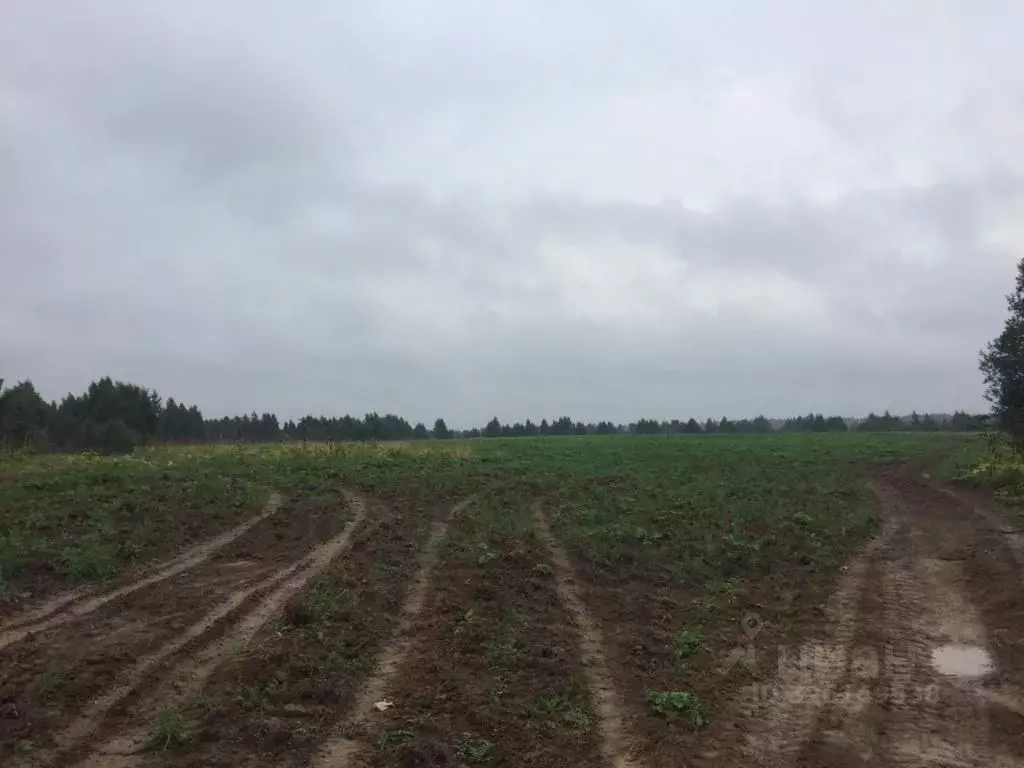 Участок в Московская область, Клин городской округ, д. Теренино  (17.5 ... - Фото 1