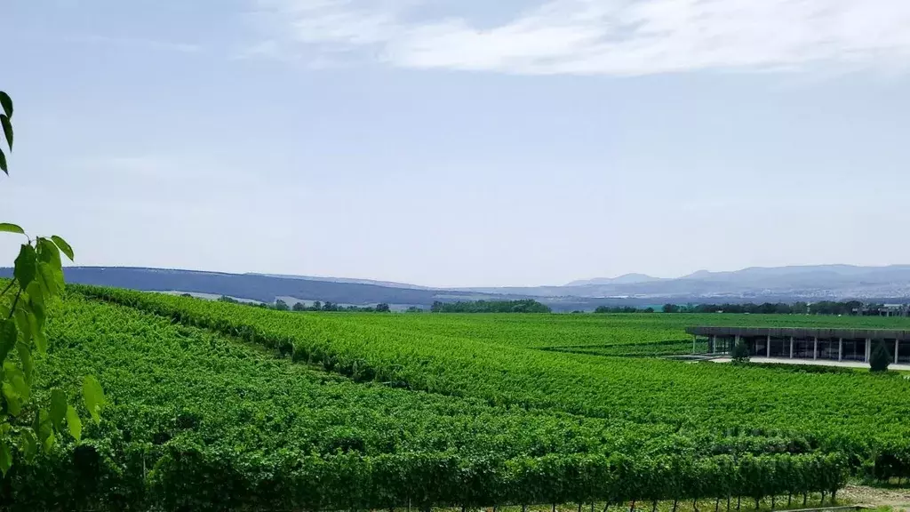 Участок в Краснодарский край, Новороссийск городской округ, Ленинский ... - Фото 1