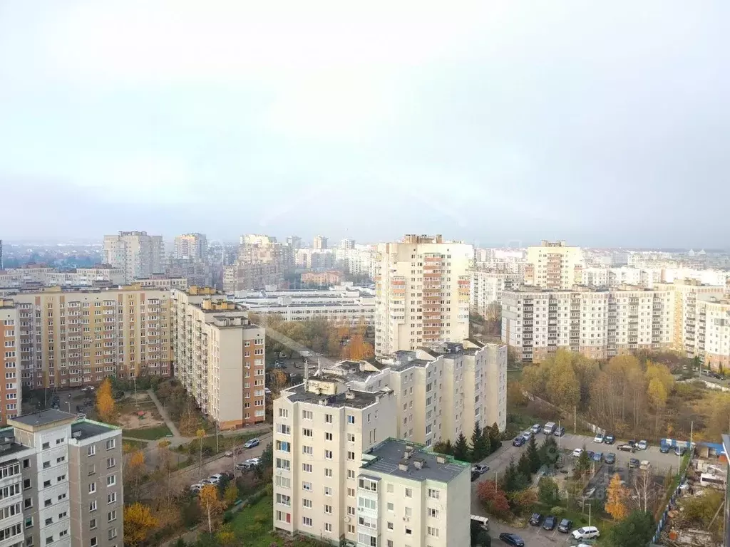 1-к кв. Калининградская область, Калининград ул. Гайдара, 90 (45.4 м) - Фото 1