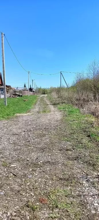 Участок в Владимирская область, Петушинский район, Пекшинское ... - Фото 0