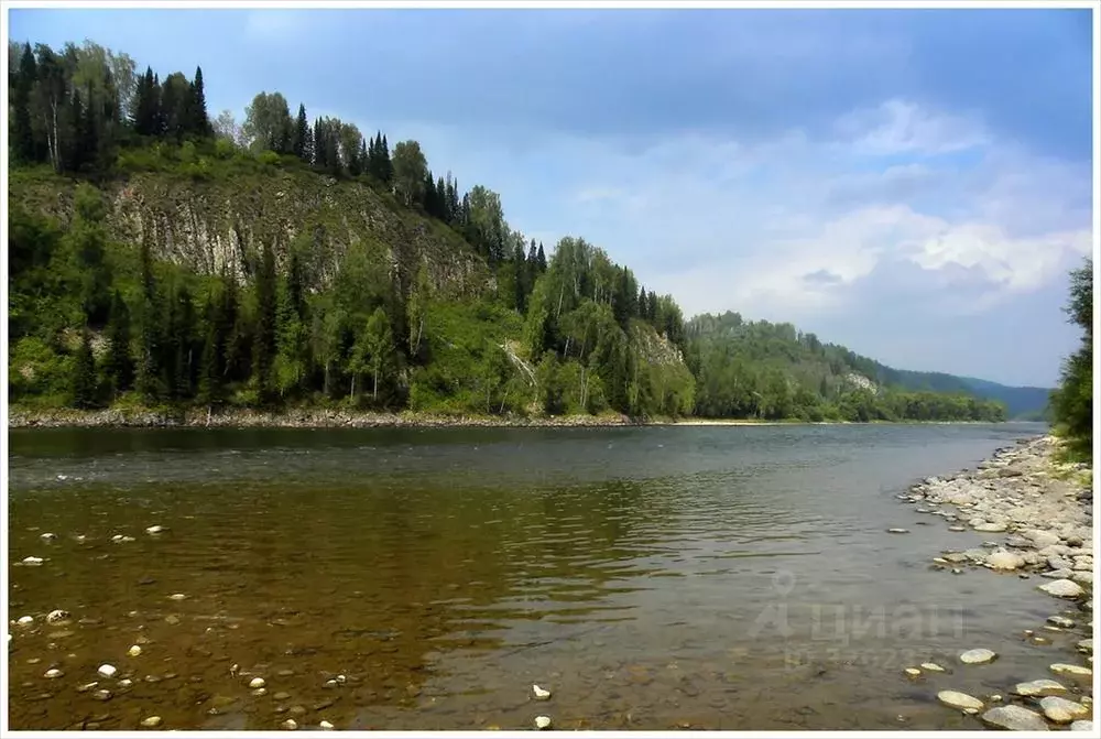 Участок в Алтай, Турочакский район, с. Озеро-Куреево Аланская ул. ... - Фото 0