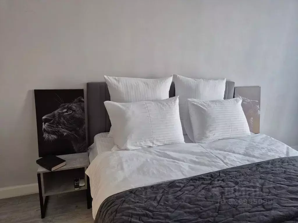 1-к кв. Московская область, Балашиха Янтарный мкр, ул. Кольцевая, 20 ... - Фото 2