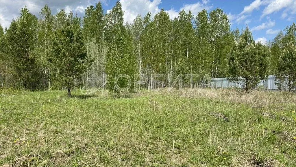 Участок в Тюменская область, Нижнетавдинский район, Сундукуль СНТ  ... - Фото 1