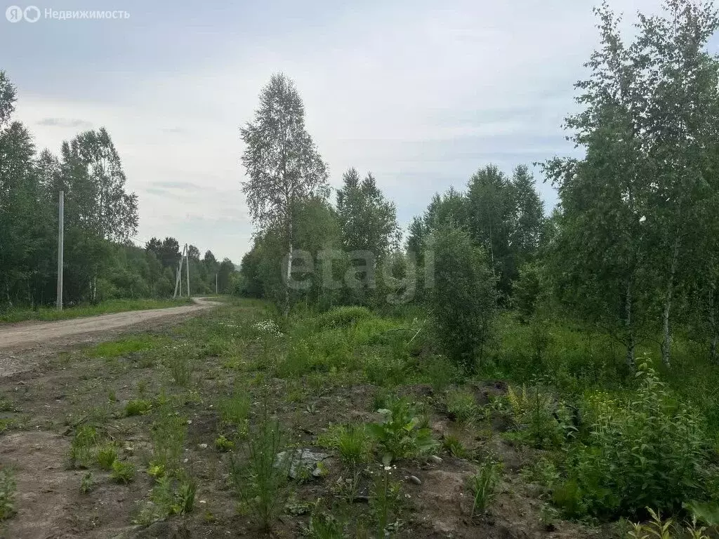 Участок в Майминский район, село Кызыл-Озек (10.43 м) - Фото 1