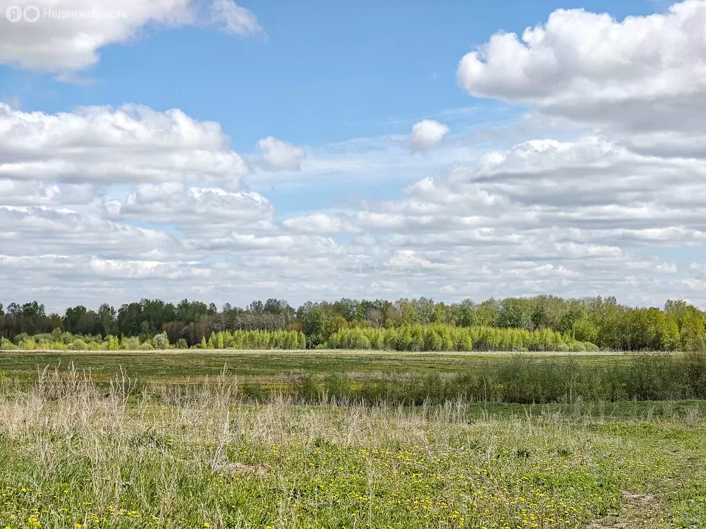 Участок в Барлакский сельсовет (1455 м) - Фото 0