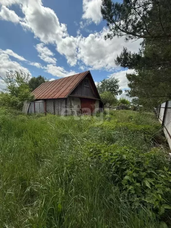 Участок в Алтайский край, Смоленский район, Верх-Обский сельсовет, с. ... - Фото 0