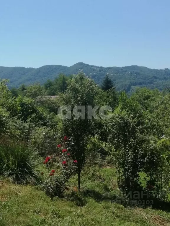 Участок в Краснодарский край, Сочи городской округ, с. Пластунка, ... - Фото 2