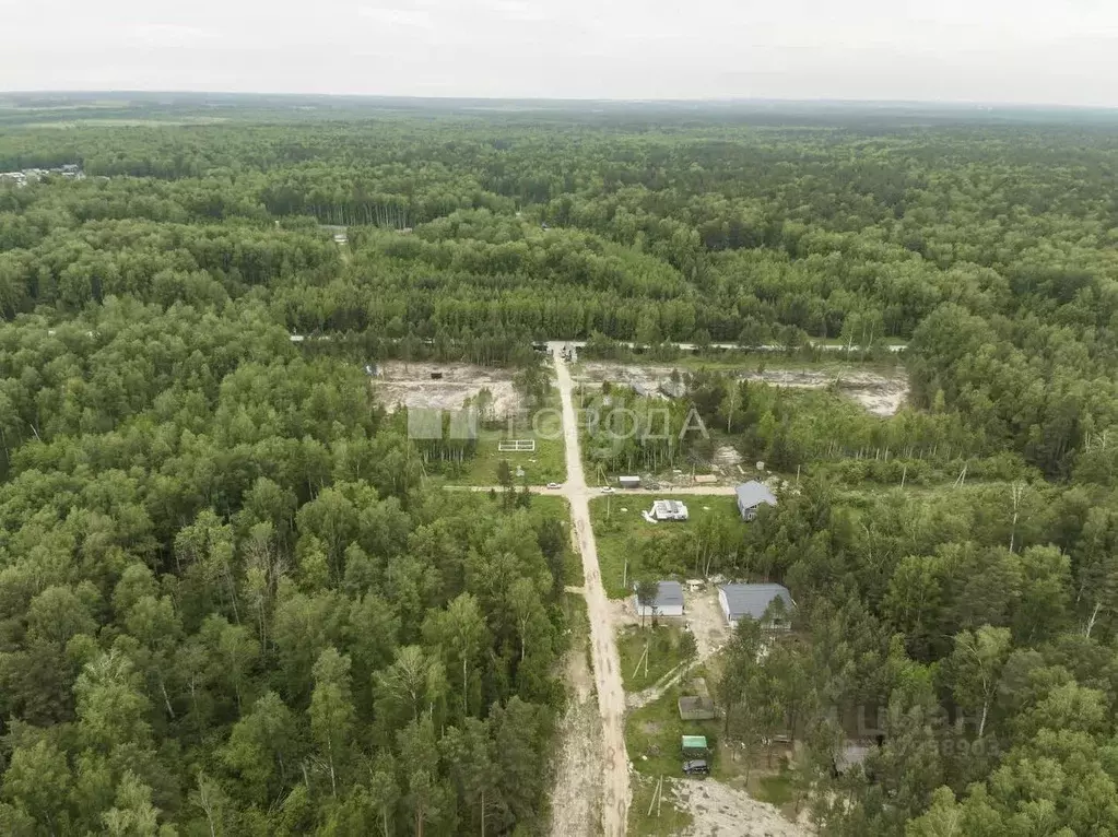 Участок в Новосибирская область, Новосибирский район, Кубовинский ... - Фото 1