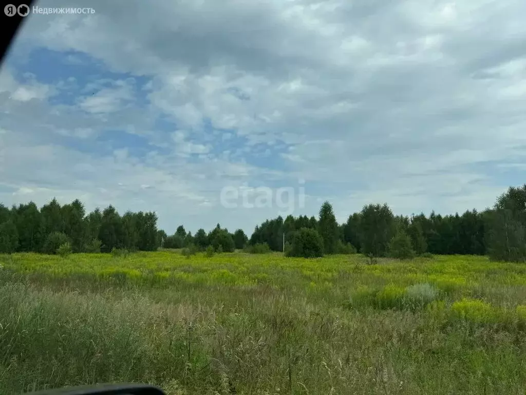 Участок в Нижегородская область, Городецкий муниципальный округ, ... - Фото 1