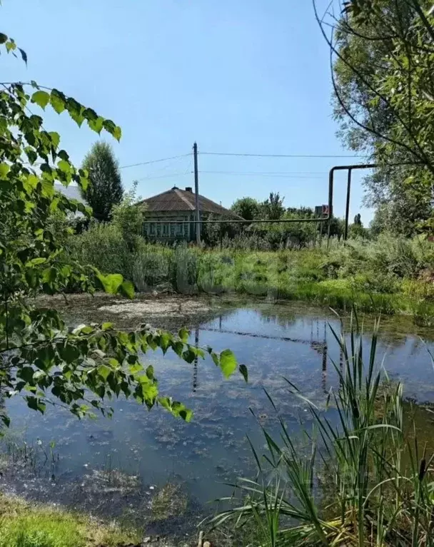 Дом в Нижегородская область, Выкса городской округ, Шиморское рп ул. ... - Фото 1